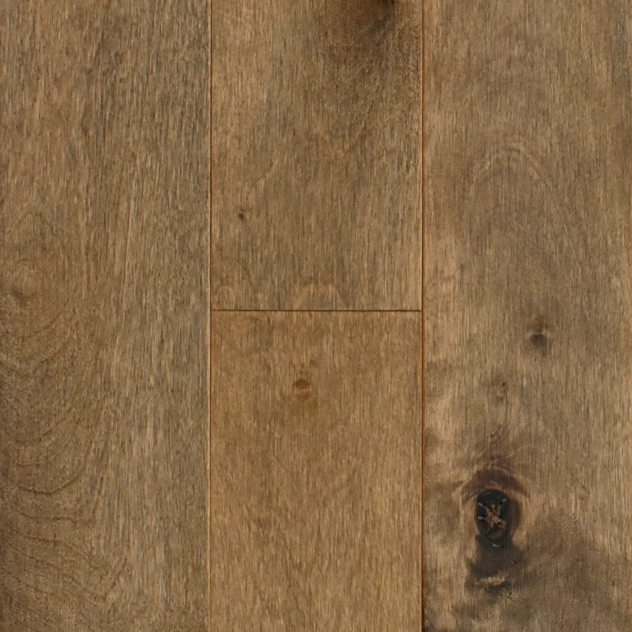 3/4 in. Belle Isle Birch Solid Hardwood Flooring - Sample